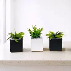 Kit 03 Vasos Decorativos com Plantinhas Artificiais e Pedrinhas Fixas – Decoração Casa Sala
