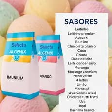 Base para Sorvete Algemix Selecta 1kg – Mistura para Sorvete, Picolé e Geladinho Profissional