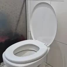 Assento Sanitário TPJ Universal Soprado  Resistente Diversas Cores Confortável Fácil Instalação Durável
