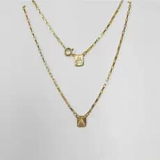 Corrente Escapulário Cartie Masculino Nossa Senhora Aparecida Plaquinha Jesus Banhado Ouro 18k