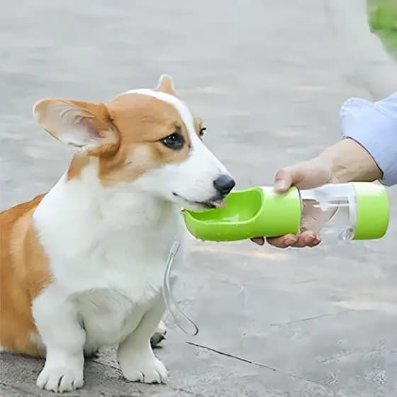 Bebedouro Portátil para Cães e Gatos Hidratação Fácil ao Ar Livre Passeios e Viagens Antivazamento