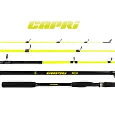 Vara Albatroz Para Molinete HG Capri 8-17lbs Fibra de Vidro