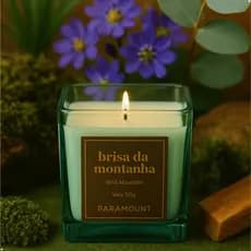 Vela Aromática Perfumada Presente Decorativa Brisa da Montanha