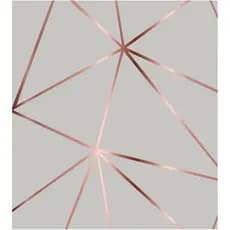 Papel De parede Para Quarto E Sala Geométrico Rose Silver 2,00 mts