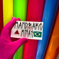 [10x5,3cm] l Mini Adesivo l Mandrake de Minas
