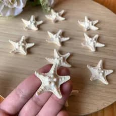 Aplique estrela do mar resina 10 unidades 3,8cm festa sereia lembrancinha