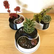 Vaso Decorativo Yin-Yang Preto e Branco em 3D com Bandeja – vaso para Suculentas, Cactos, Plantas, Jardim e Decoração