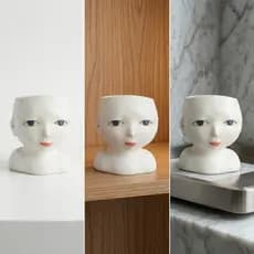 Plantador De Rosto Desgastado Em Forma Vaso De Flores Presente Interno Para Decoradores , Estante , Mesa