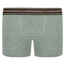 Kit 2 Cuecas boxer Infantil Algodão com Elastano Lupo 141-088.