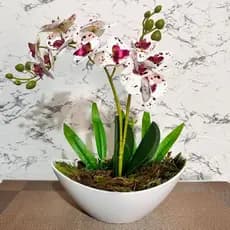 Arranjo Orquídeas Artificiais 30 Cm Vaso Junco/ melanina mesa