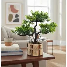 Bonsai Planta Artificial Árvore Decoração Bonsai Madeira