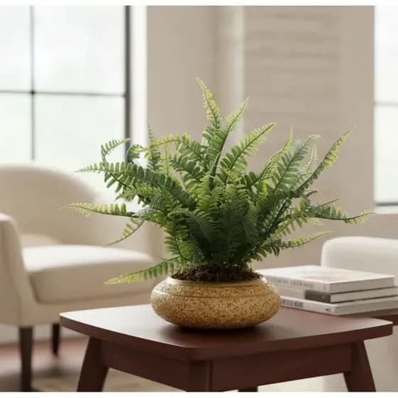Arranjo Samambaias Completo Artificiais Vaso Cerâmica home mesa