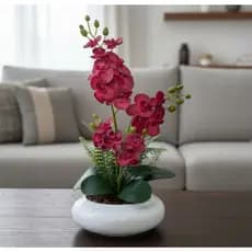 Arranjo de orquídeas permanentes vaso cerâmica