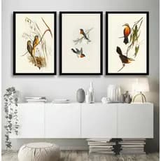 Kit 3 Quadros Decorativos Animais Pássaros Passarinhos Molduras