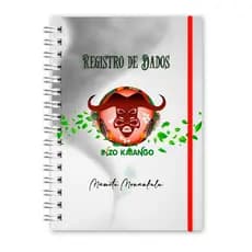 Caderno de Dados para Dirigentes (TAMANHO UNIVERSITÁRIO 10 MATÉRIAS) Umbanda e Candomblé