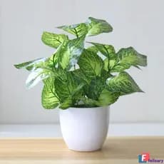 Planta em vaso artificial / Simulação de flores / Plantas falsas / Decoração de casa / escritório FEL