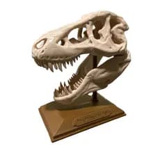 Dinossauro JURASSICO Esqueleto Crânio 3D Decoração