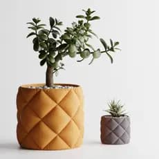Vaso Decorativo Para Suculenta Almofada