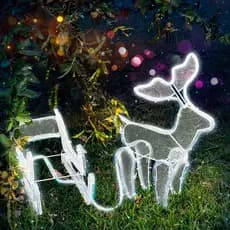 Rena Em Led De Mangueira  Com Trenó Decoração De Natal 220v