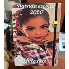 AGENDA ESCOLAR PERSONALIZADA COM TEMA E NOME VOLTA AULAS INFANTIL MATERIAL  COLEGIO  ESTUDOS ANOTAÇÕES