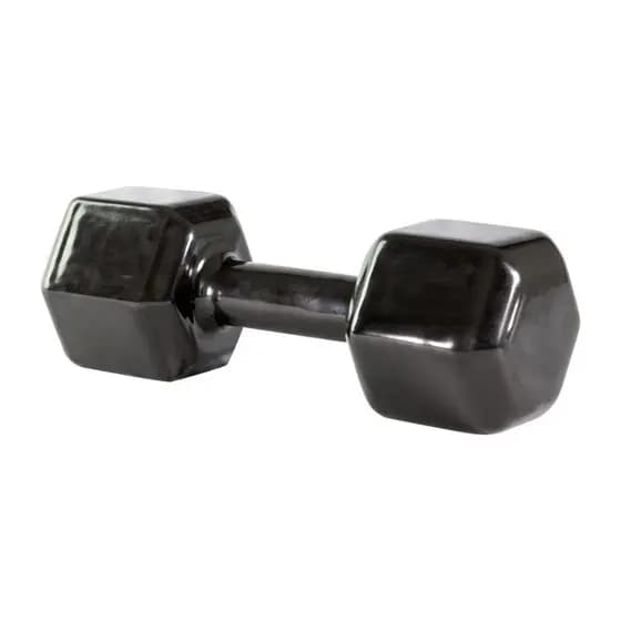 Halter Sextavado Emborrachado de Ferro Fundido 20kg