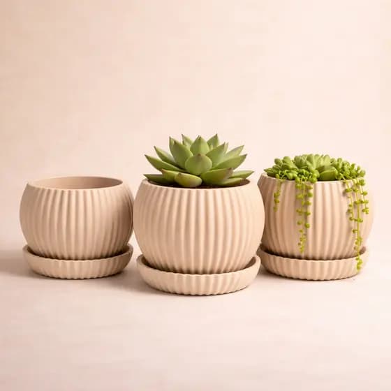 Kit 3 Vaso Para Suculentas com Prato Pequeno Decorativo Moderno Minimalista Plantas Naturais