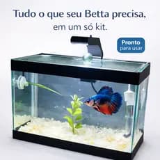 Aquário de Peixes Completo para Betta com Luminária, Aquecedor, Pedras e Decoração Interna Premium