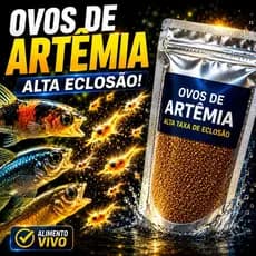 Cisto de Artêmia Salina Granel de 10g a 50g - Alta Taxa de Eclosão - Alimento para Alevinos
