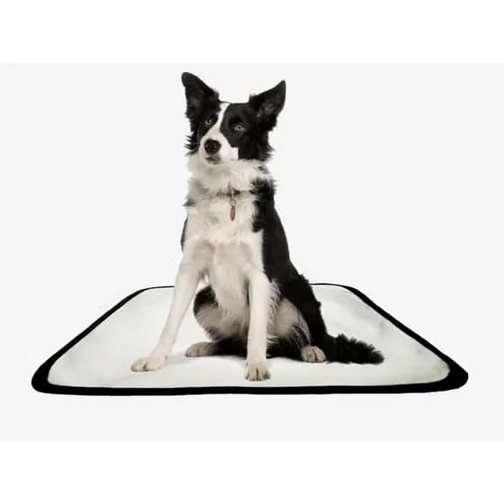 Tapete pet reutilizável educador dog oferta 5 un P1 50x70cm