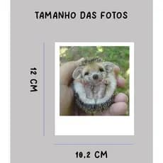 Foto decoração Alta qualidade tamanho grande - Sem legendas foto unitária