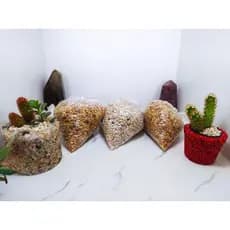 seixo decorativo para plantas