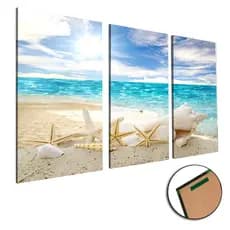 Quadros decorativos 3 peças estrela do mar concha