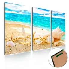 Quadros decorativos 3 Peças estrela do mar concha