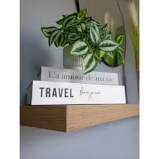 Arranjo Pendente Lambari 35cm Vaso Decorativo Branco ou Preto ideal para Home, Nichos e Prateleiras
