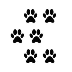 Adesivo Patinhas Cachorro Gato Adesivo Pet Recorte Patinhas Para Carro Moto