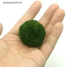 LPHG 3-4cm Marimo Bolas De Musgo Planta De Aquário Vivo Algas Tanque De Peixes Ornamento Simulação Verdes Artificial .