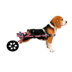 Cadeira De 2 Rodas Para Cachorros M de 10 A 18Kg Traseira Ajustável MovPet