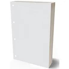 Refil Argolado 90g 80 Folhas Pauta Branca Caderno Fichario Universitario 27,50x20cm 4 Furos