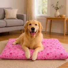 Colchonete Caminha Para Cachorros 90x70cm e 70x50cm VAI COM CAPA COM ZÍPER para o colchonete.