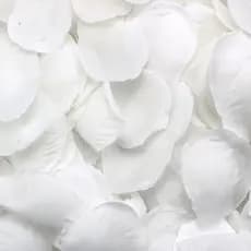 1000-4000 Pétalas De Rosas Artificiais Brancas Decoração Casamento Festas