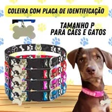 Coleira Para Cachorro Gato Pet Com Placa Pequeno Porte