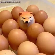 Criativo Shiba Inu Realista Ovo Forma PVC Mesa Decoração Cão & União Decorações Para Escritórios Em Casa Diversão Presen