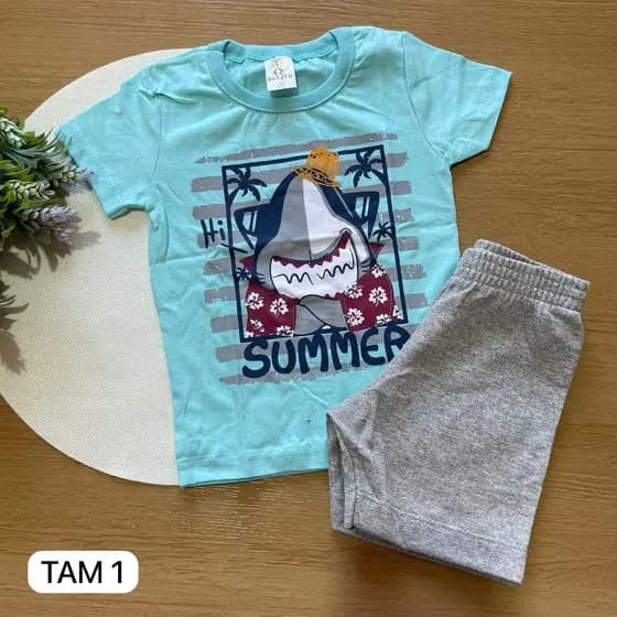 Conjunto Infantil Menino Tamanho 1 Estampas Diversas| Conjunto Infantil Menino Verão