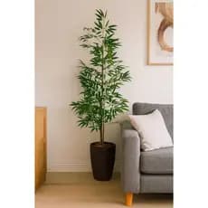 Árvore Bambu Da Sorte Vaso Grande Decorativo Toque Real