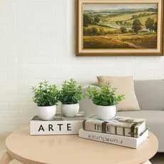 Vasinhos Decorativos Branco Redondo Com Plantas - 3 Vasos