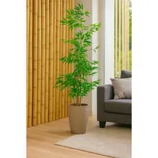 Planta Artificial Bambu Da Sorte Vaso Grande Sala Decoração