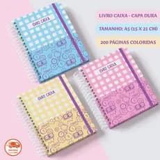 Livro Caixa e Controle Financeiro - Caderno de Entrada e Saída de Caixa
