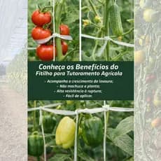 Fitilho Tutoramento Rolo 1kg 1000m Anti-uv Agrícola Amarração Tomate Pepino Plantas em Estufas e Campo Aberto