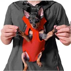 Mochila Canguru Gato Pet Cachorro Cao Animal de Estimaçao Pequeno Porte Transporte Resistente Caminhada Ar Livre