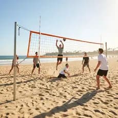 Rede de Volei Profissional 4 Faixas Resistentes 9,5m Proteção UV